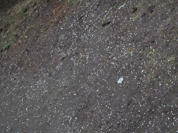 Area E 05.03.12 (600x450) 14