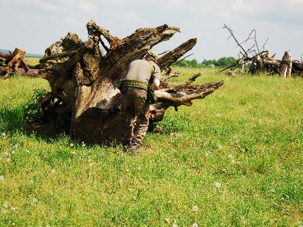 Area HID 18.05.13 (600 x 450) (12)
