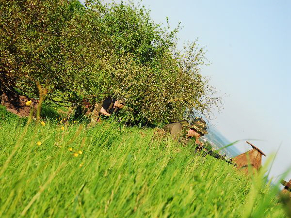 Area HID 18.05.13 (600 x 450) (29)