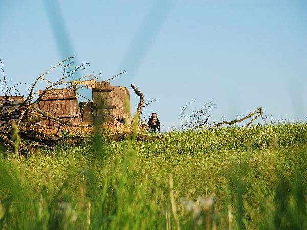 Area HID 18.05.13 (600 x 450) (31)