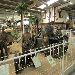 Sinnsheim 28.04.13 (75 x 75) (5)